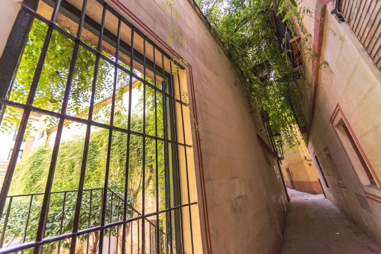 Apartment In The Centre Seville